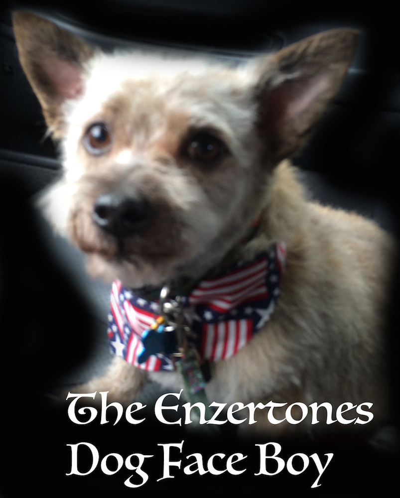 Enzertones Dog Face Boy