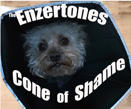 Enzertones, Cone Of Shame